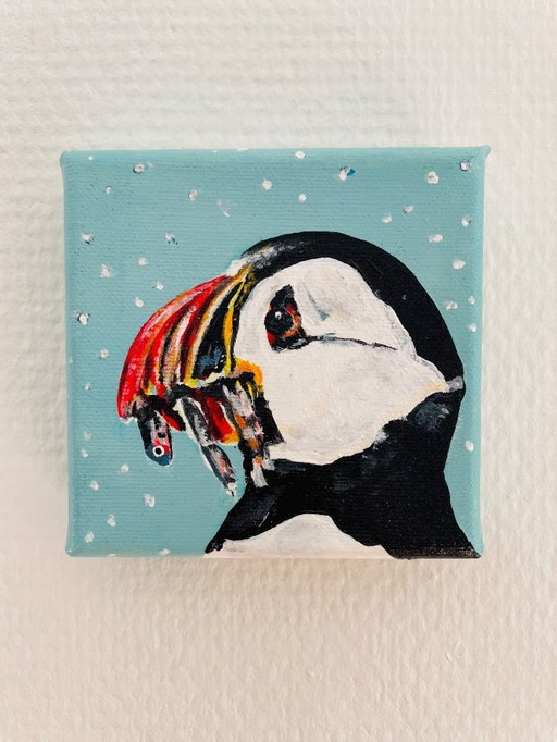 portrait of a puffin