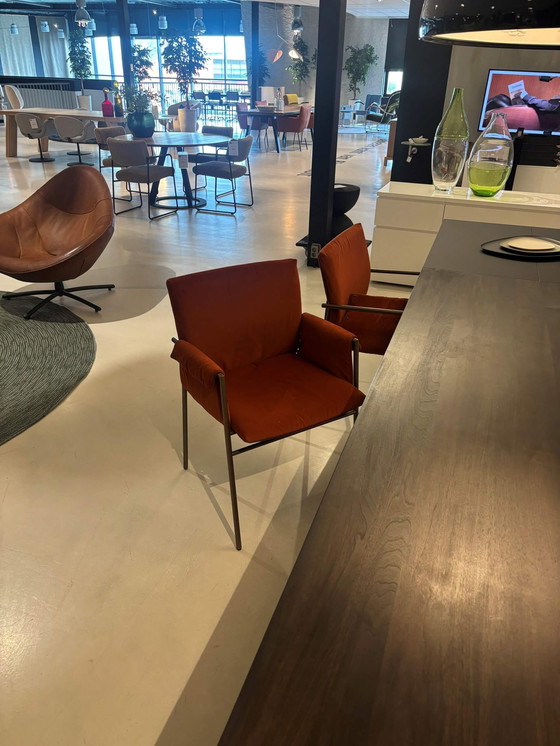 Image 1 of Montis Yves dining chair (set of 4)