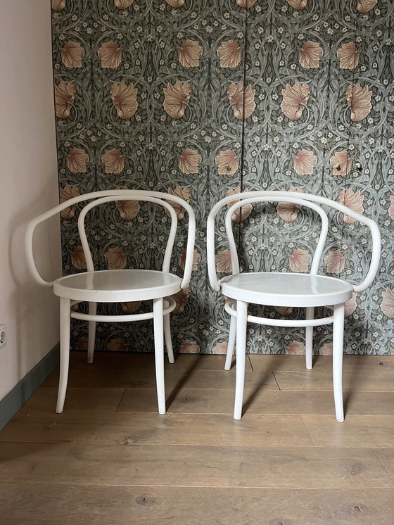 Image 1 of 2 Vintage Thonet stoelen – Model No. 204/ Vienna – Wit