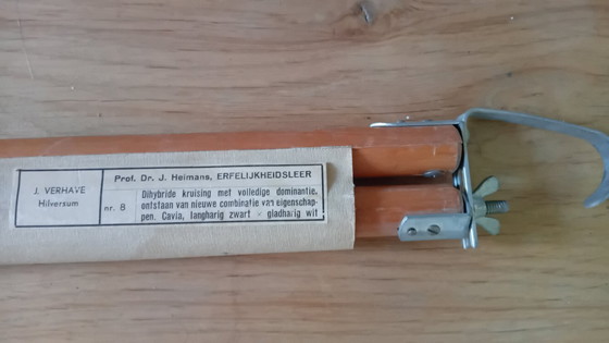 Image 1 of Tabla escolar antigua de J. Verhave, Genética n.° 8, Cobayas