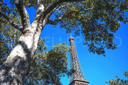 Foto auf Plexiglas gedruckt / Limitierte Serie / Art Déco / Dekorativer Rahmen / Paris / Eiffelturm