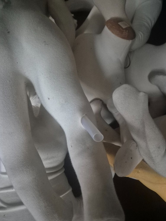 Image 1 of Vintage mannequins