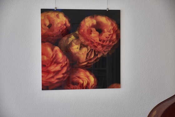 Image 1 of Splendore floreale