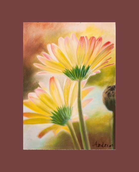 Image 1 of Pastel daisies. Daisy painting. Flower drawing. Pastel flowers. Painted flowers. New.