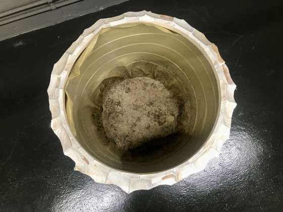 Image 1 of Radica Bowl Perlmuttmuschel Pflanzkübel Blumentöpfe Pflanzvase