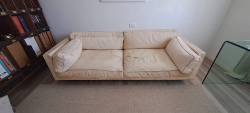 Flexform Sofa