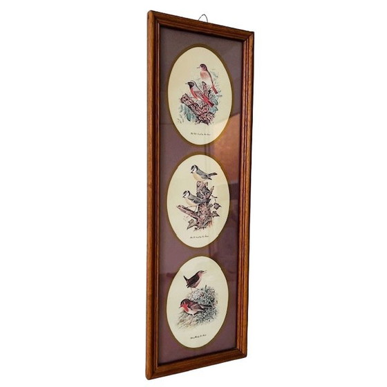 Image 1 of Vintage ingelijste prent met drie vogel tafereeltjes schilderij