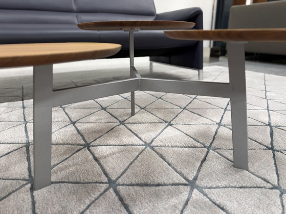 Leolux Ninfea Coffee table walnut houf, Wood, Multi Color (photo 7 of 14)