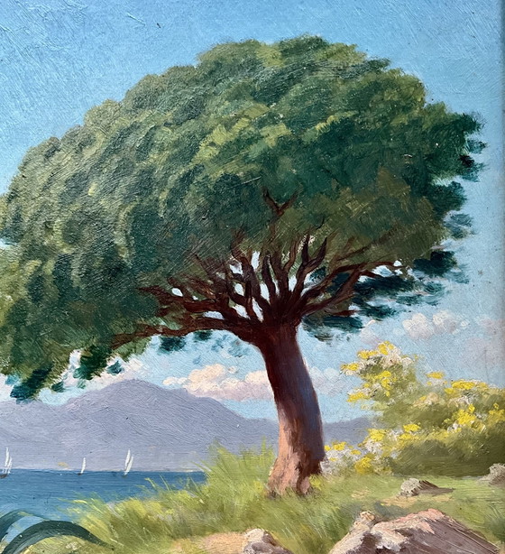Antico Dipinto a Olio Cannes La Bocca 1909 – Tom Evans – Dipinti e disegni, Legno, Altro (photo 5 of 10)