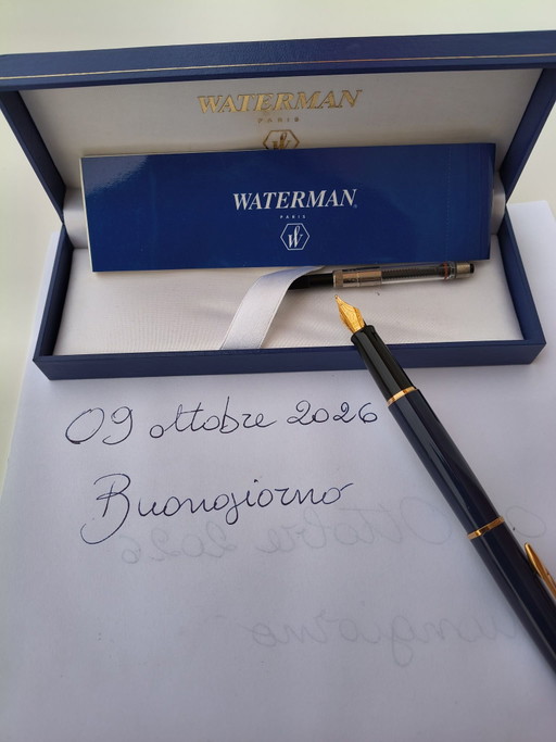 Penna Stilografica Waterman Expert Blu/Oro