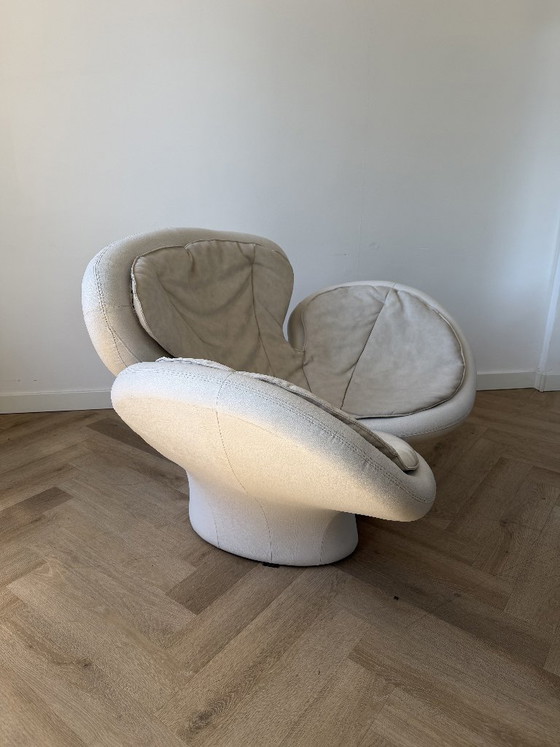VGnewtrend Pansé Armchair – VG newtrend, Other (photo 3 of 6)