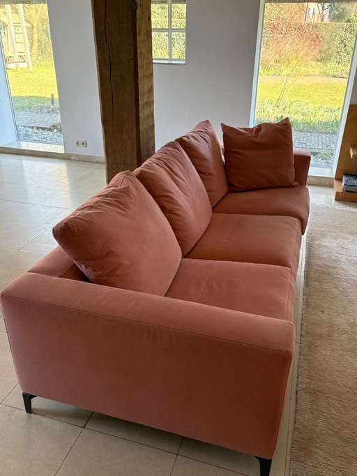 Minotti sofa salmon pink