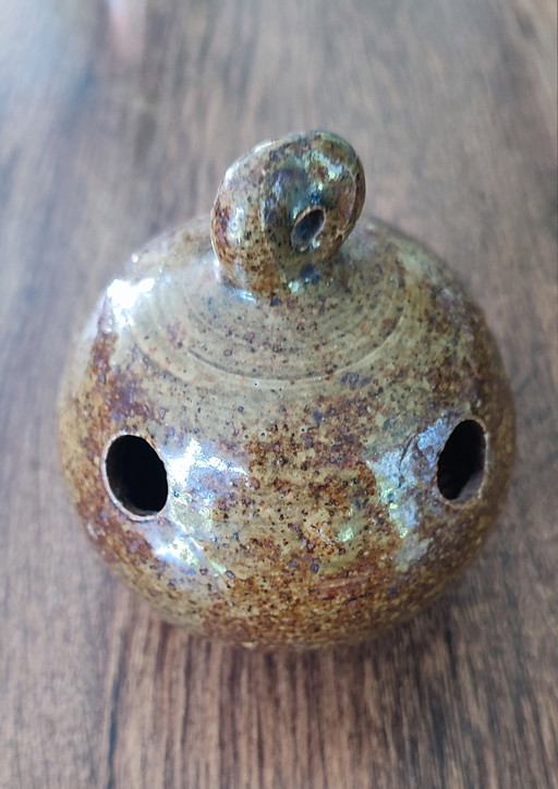 Picchio rosso in vecchie arenarie piritiche