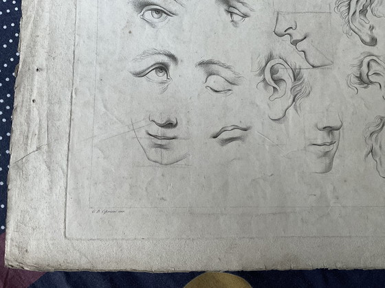 Image 1 of Rare étude anatomique du XVIII ème siècle par Cipriani 