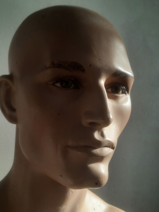 Image 1 of Torso di manichino maschile