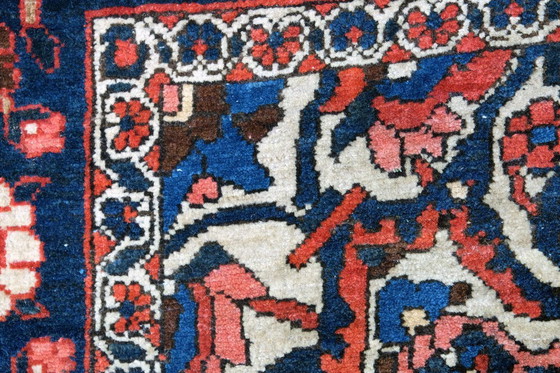 Image 1 of Beautiful Bachtiar from Iran