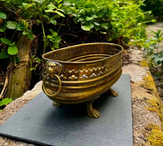 Jardinera león de latón barroca siglo XIX – Macetas, Brass, Barok (photo 5 of 5)