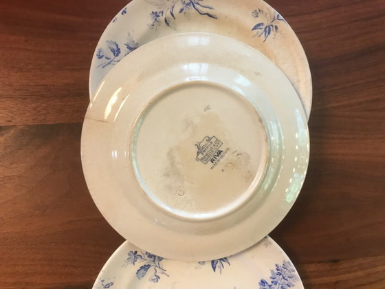 Image 1 of Serie per bambini Petrus Ragout / Riva