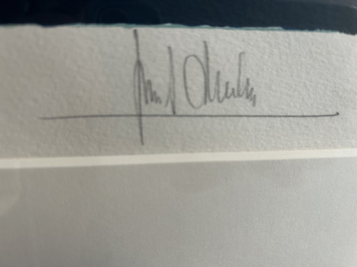 Ton Schulten zeefdruk “De dag ￼breekt aan”