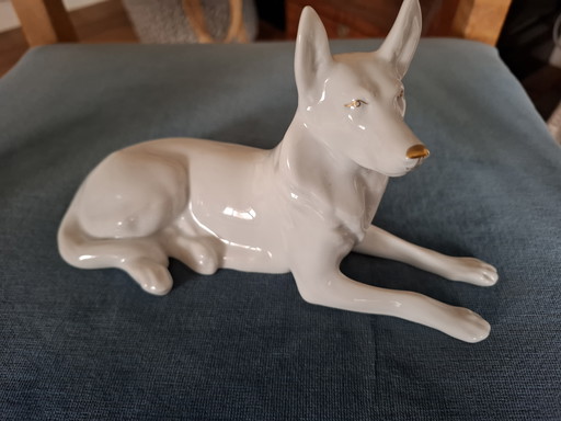 Hollohaza Hungary Sheepdog 