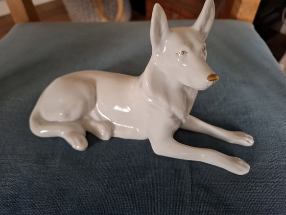 Image 1 of Chien de berger de Hongrie Hollohaza