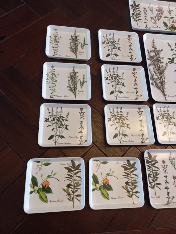 Image 1 of Vassoi botanici del marchio italiano Van Mebel (22)