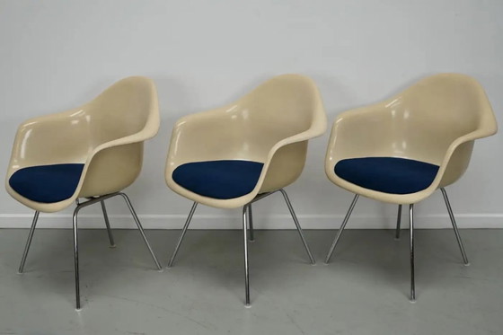 Image 1 of Set di tre poltrone DAX in fibra di vetro color pergamena, Eames per Herman Miller / Vitra