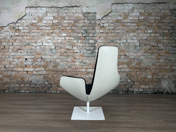 Image 1 of Moroso Fjord set