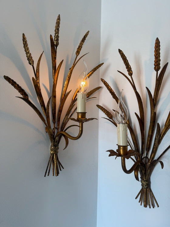 Image 1 of Apliques de pared con forma de espiga de trigo, década de 1960.