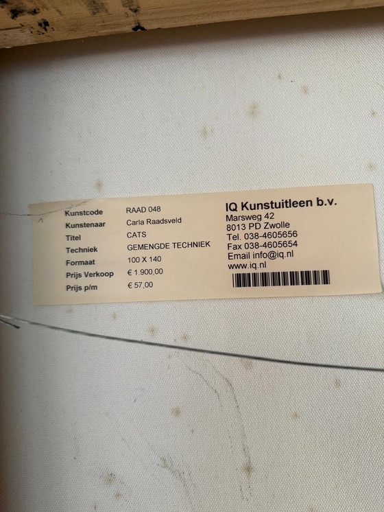 Image 1 of Gran cuadro/obra de arte «Gatos» de Carla Raadsveld