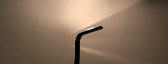 Image 1 of Magnificent ''Orchidéa'' Design Floor Lamp by Gianfranco Frattini for Relco