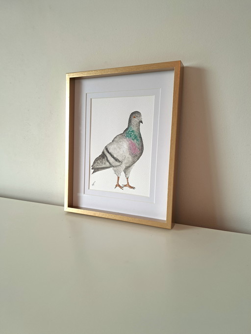 Watercolor painting of a city pigeon | Gold-colored frame