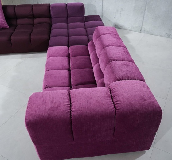 Image 1 of Tempo di Tufty