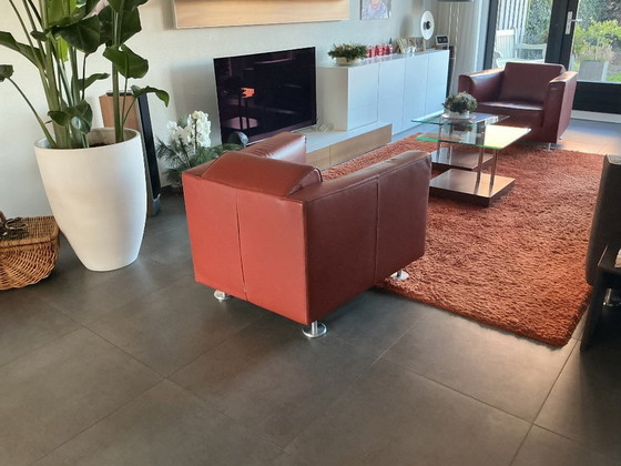 Image 1 of 2 poltrone Design in Stock