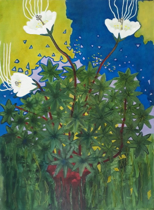 Innocentia aspirata, Pursued innocence