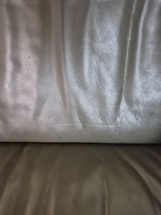 Divano in pelle grigio/verde Leolux – Divani (photo 8 of 8)
