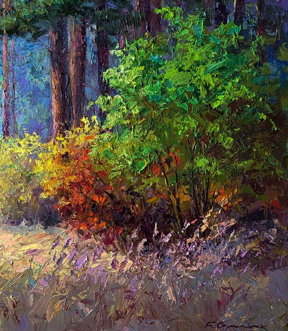 Original Oil Painting Nature Landscape The Beginning Of Autumn In The Forest – Paintings & Drawings, Canvas (photo 4 of 8)