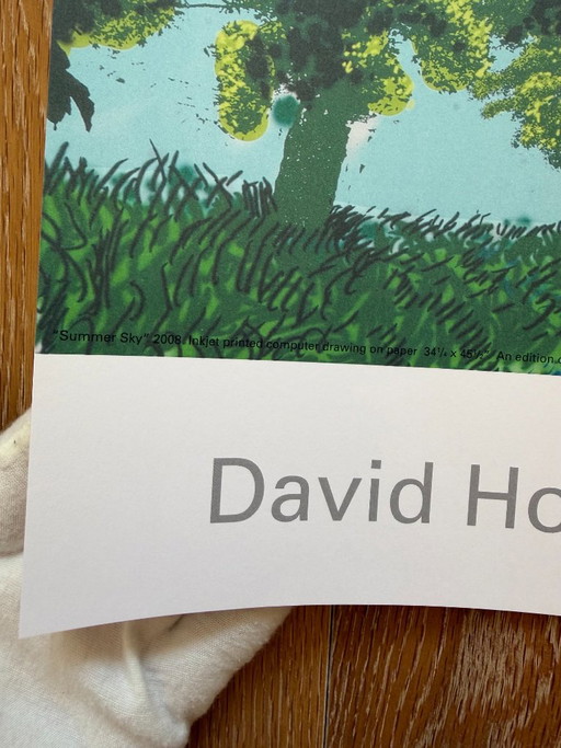 David Hockney (1937-2026), Zomerhemel, 2008, Copyright David Hockney, Gedrukt in het Verenigd Koninkrijk (photo 2 of 11)