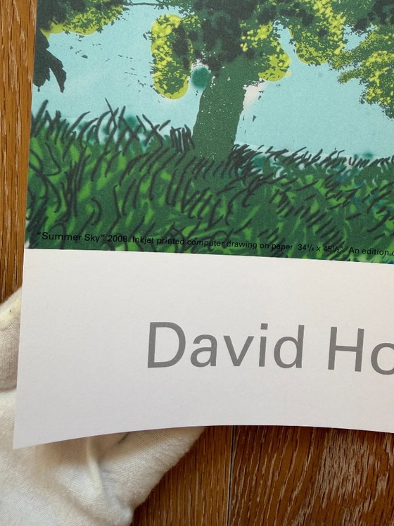 David Hockney (1937-2026), Ciel d'été, 2008, © David Hockney, Imprimé au Royaume-Uni – Tirages d'art, Paper (photo 2 of 11)