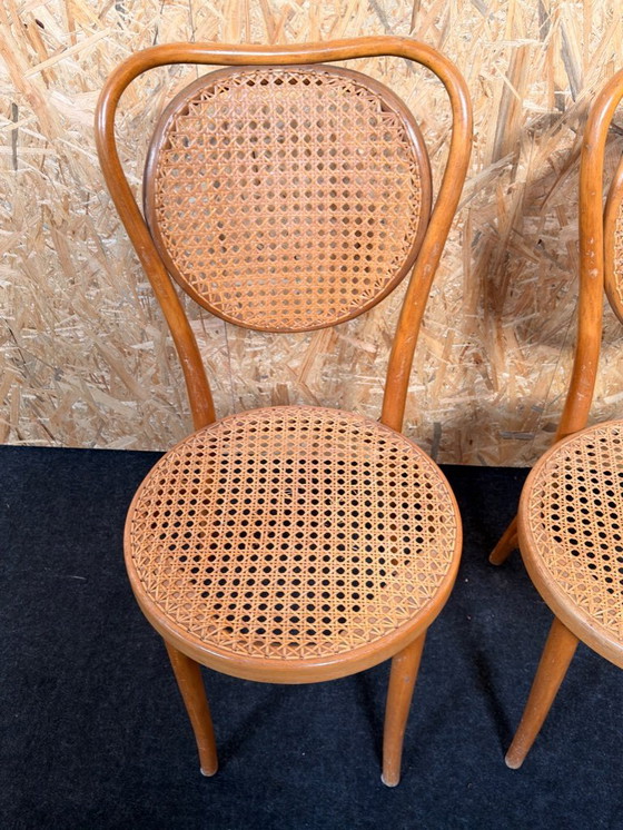 Image 1 of Thonet’ ZMP Radomsko Gebogen Houten Stoelen