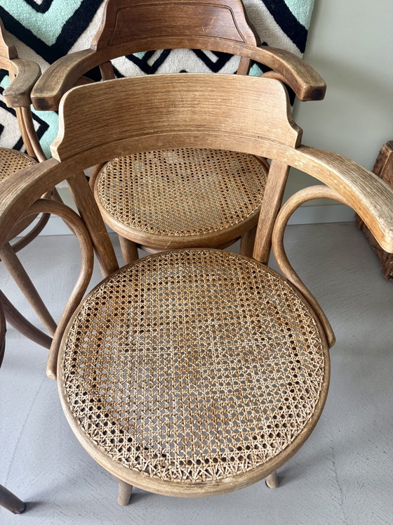 Image 1 of Antique Thonet chairs, 4 pieces