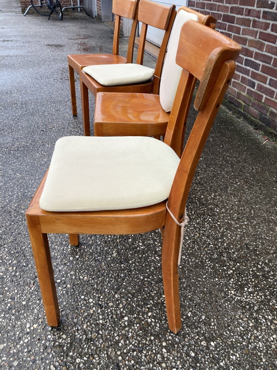 14 sedie Frankfurter anni '50-'60 – Taunus-Stabil, Sedie da pranzo, Textile, Wood (photo 4 of 5)