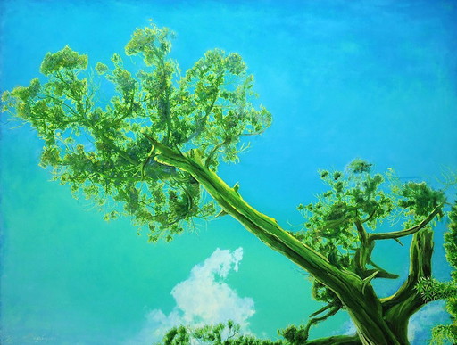 Original Oil Painting Modern Art Landscape Sky Witness The Time. Dawn – schilderijen tekeningen, Canvas