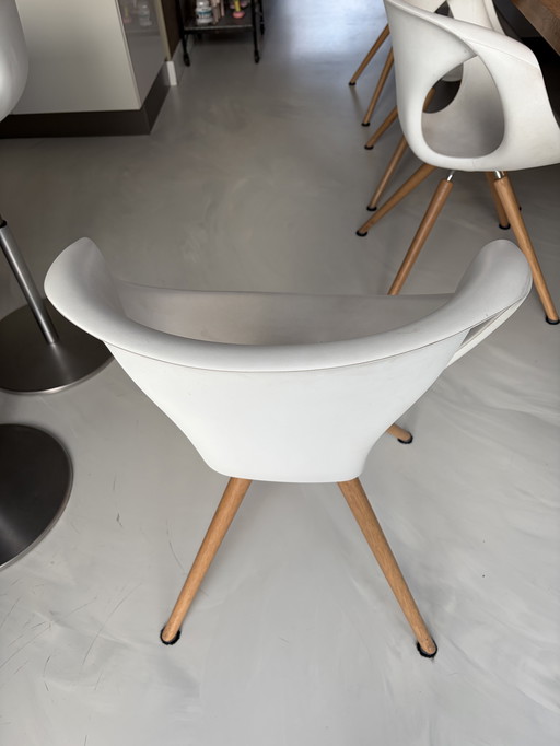 8 Tonon designer dining chairs made in Italy