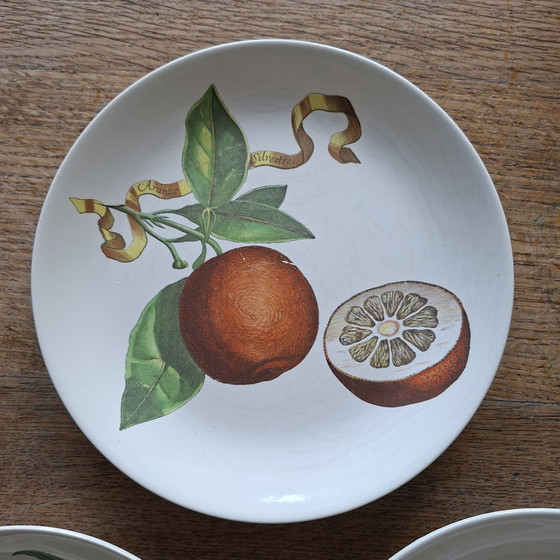 Image 1 of Villoroy & Boch Botanical borden (3×)