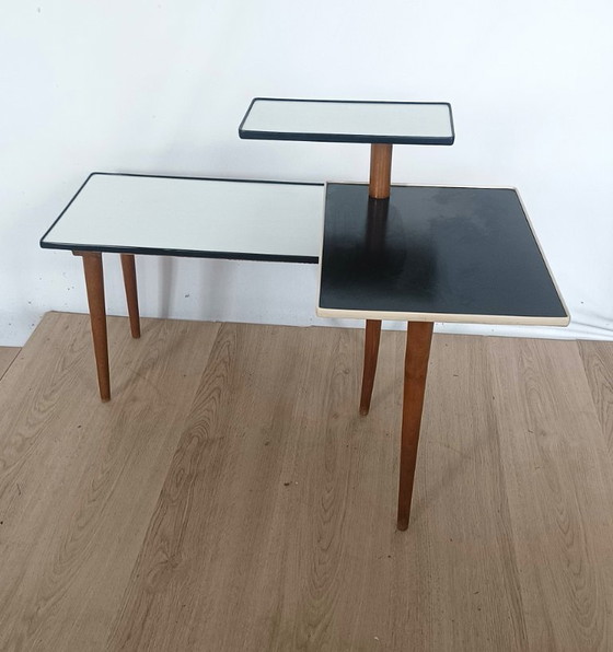 Image 1 of Mesa para plantas ajustable Opal de los años 50