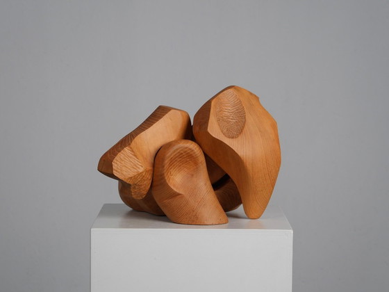 Organische abstrakte Holzskulptur von Joop van Bergen, Niederlande, 1980er Jahre – Bildhauerei, Wood (photo 4 of 10)