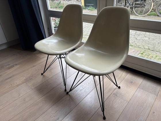 2x Chaises d'appoint Vintage Eames Miller DSR en fibre de verre – Parchment – Herman Miller (photo 9 of 9)