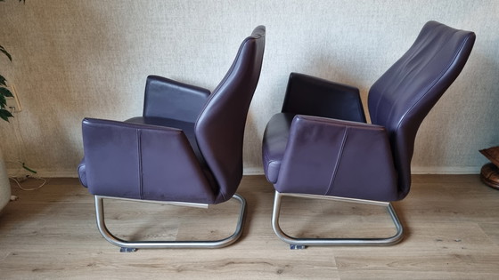 Image 1 of Sillas con estructura tubular en cuero