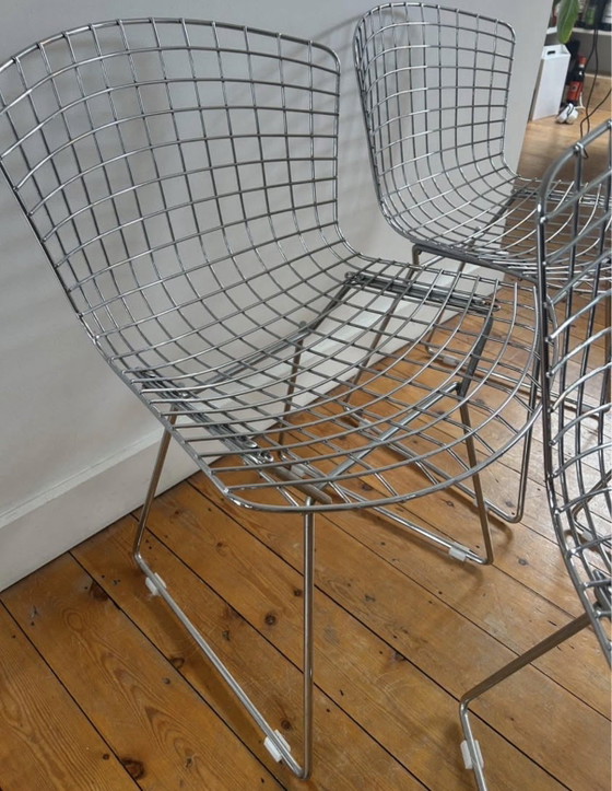 Image 1 of Silla lateral Knoll Bertoia 4x